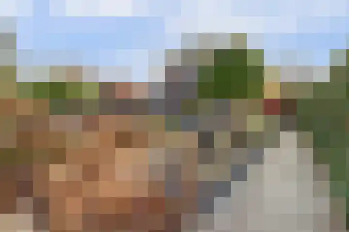 Kloosterakker 82 Wijchen thumbnail 50