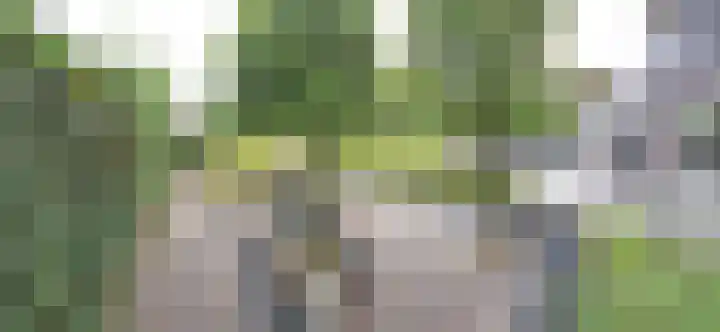 Kloosterakker 82 Wijchen thumbnail 55