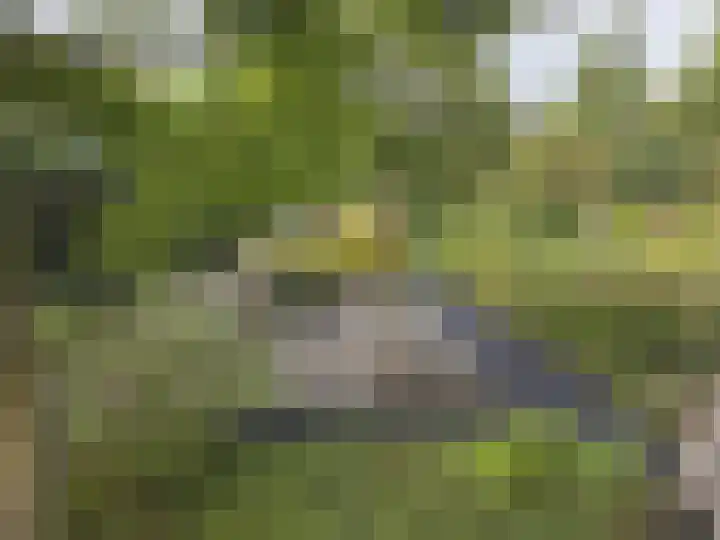 Kloosterakker 82 Wijchen thumbnail 56