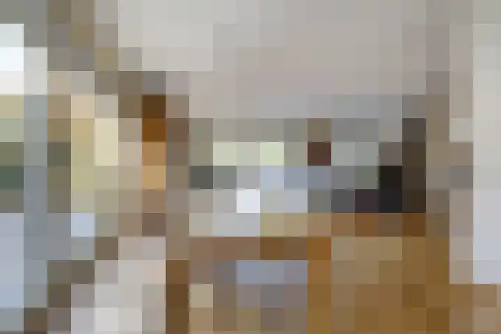 Kloosterakker 82 Wijchen thumbnail 6