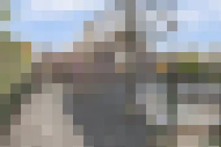 Kloosterakker 82 Wijchen thumbnail 60