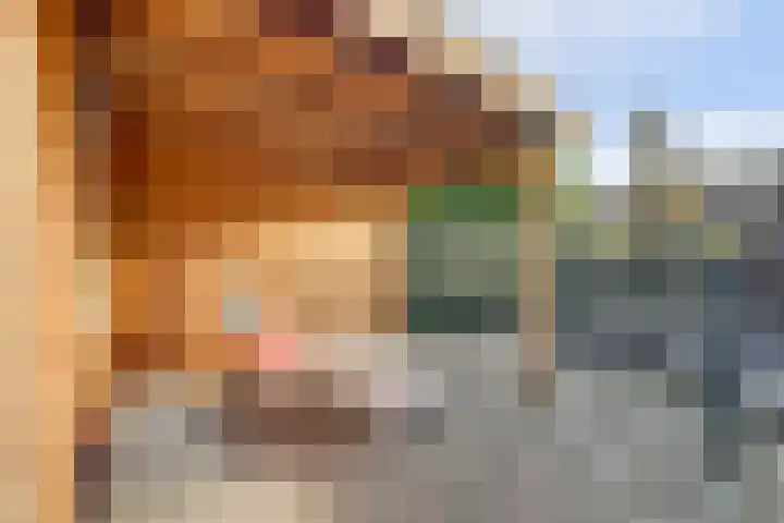 Kloosterakker 82 Wijchen thumbnail 61