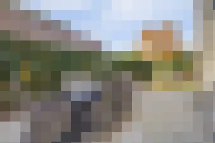 Kloosterakker 82 Wijchen thumbnail 62