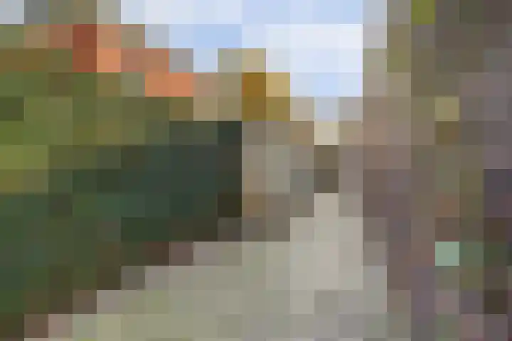 Kloosterakker 82 Wijchen thumbnail 64
