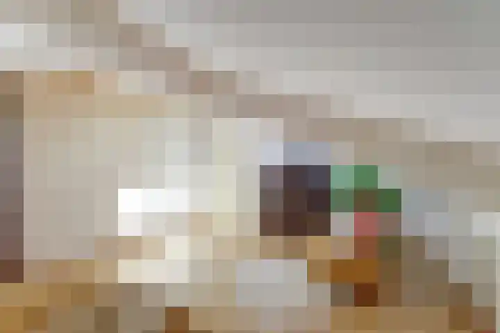 Kloosterakker 82 Wijchen thumbnail 66