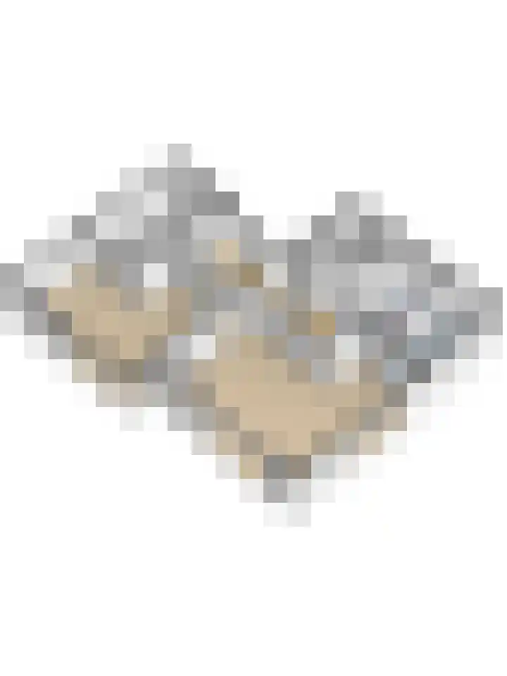 Kloosterakker 82 Wijchen thumbnail 71