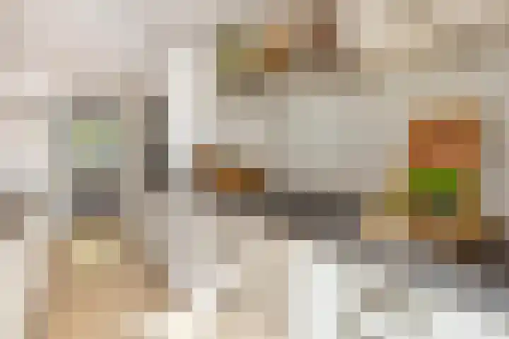 Kloosterakker 97 Wijchen thumbnail 10