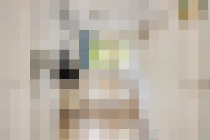 Kloosterakker 97 Wijchen thumbnail 11