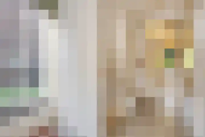 Kloosterakker 97 Wijchen thumbnail 19