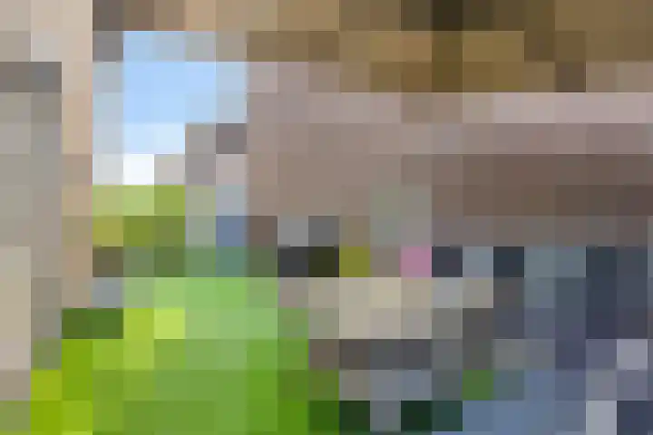 Kloosterakker 97 Wijchen thumbnail 20