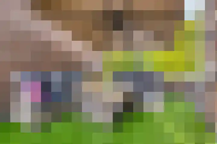 Kloosterakker 97 Wijchen thumbnail 21