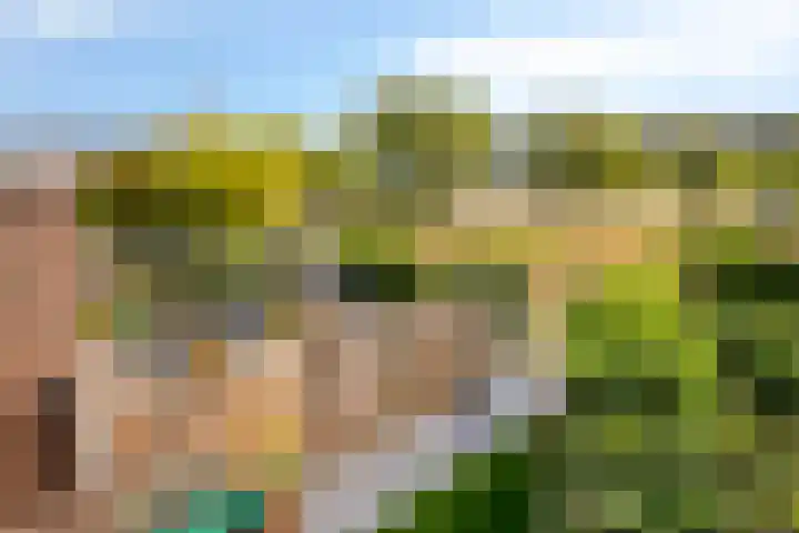 Kloosterakker 97 Wijchen thumbnail 23