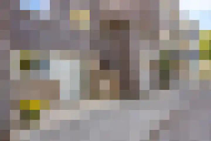 Kloosterakker 97 Wijchen thumbnail 34