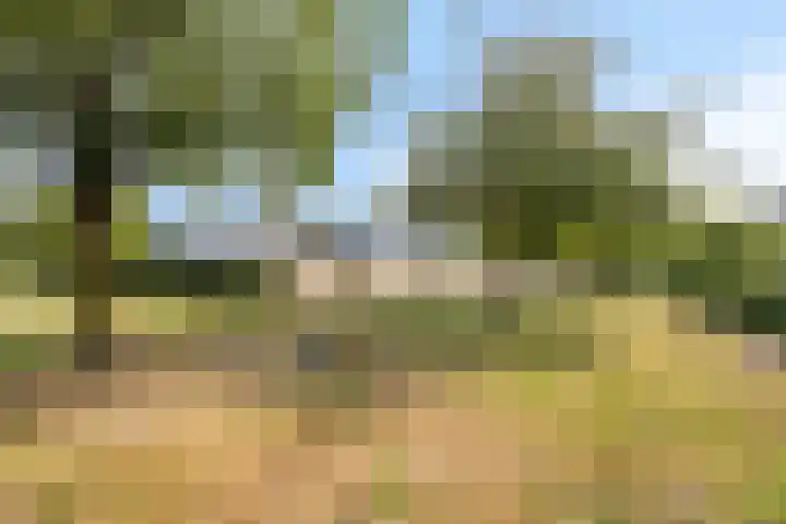 Kloosterakker 97 Wijchen thumbnail 38