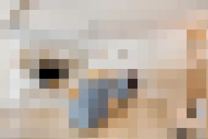 Kloosterakker 97 Wijchen thumbnail 4