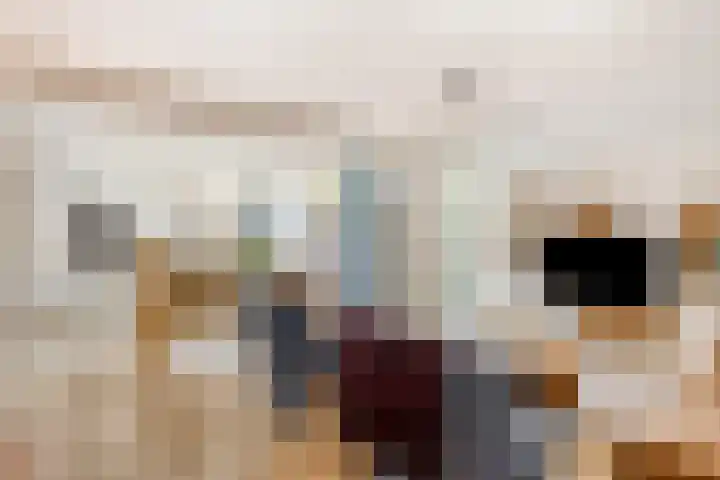 Kloosterakker 97 Wijchen thumbnail 7