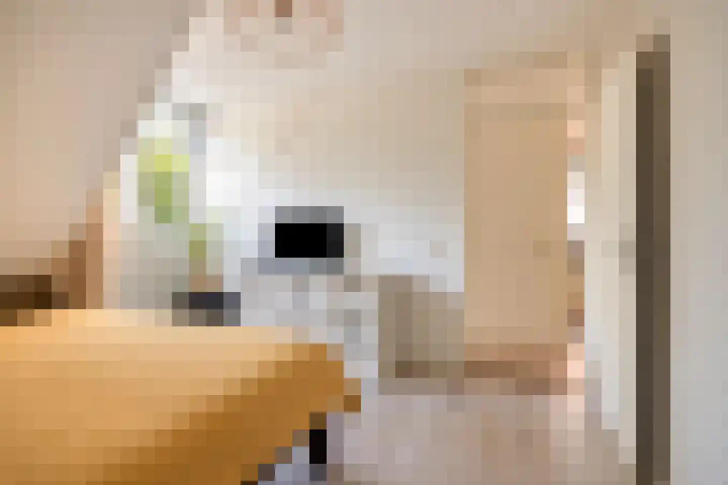 Kloosterbeemd 17 Oisterwijk thumbnail 33