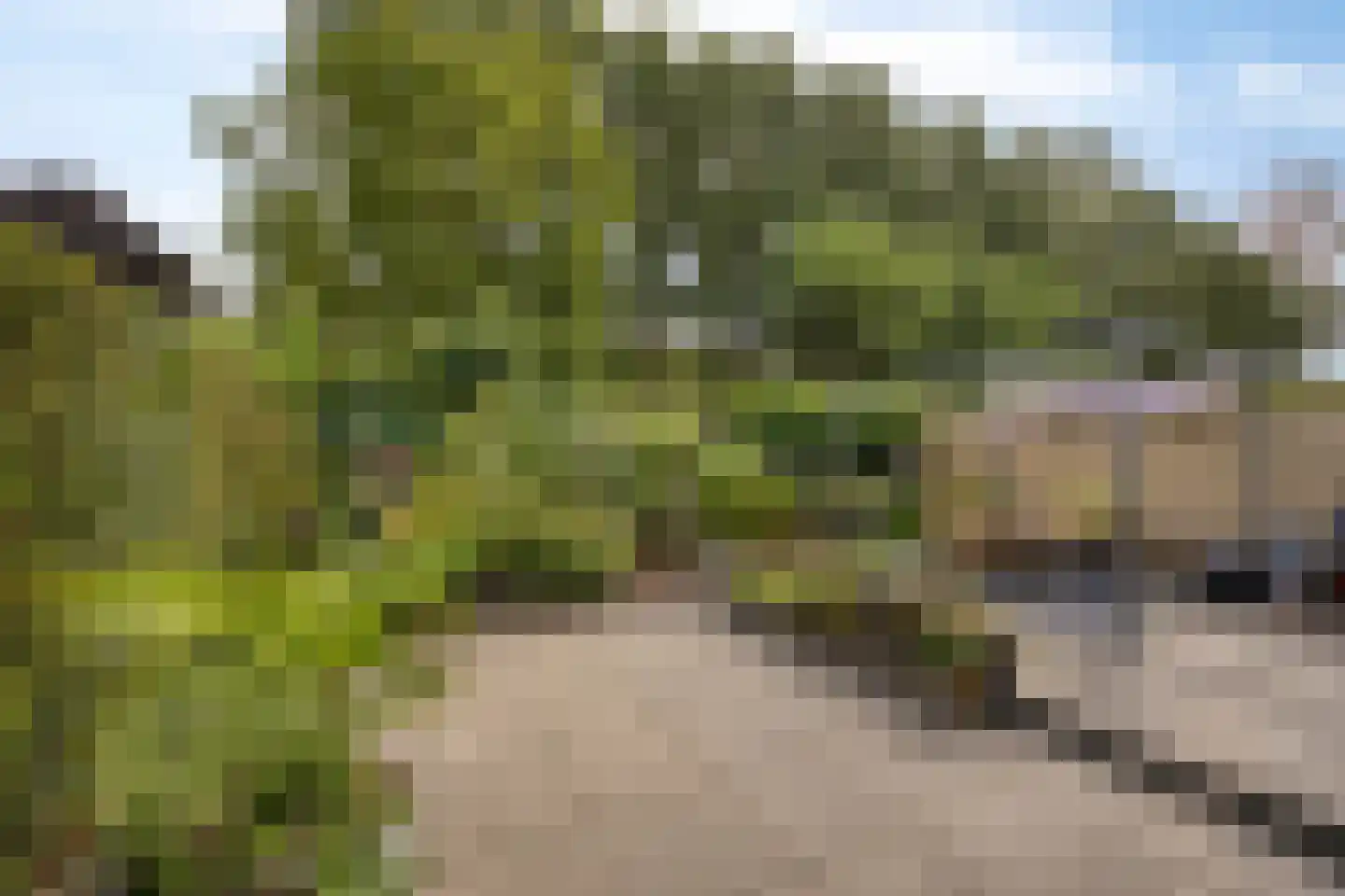 Kloosterbeemd 17 Oisterwijk thumbnail 45