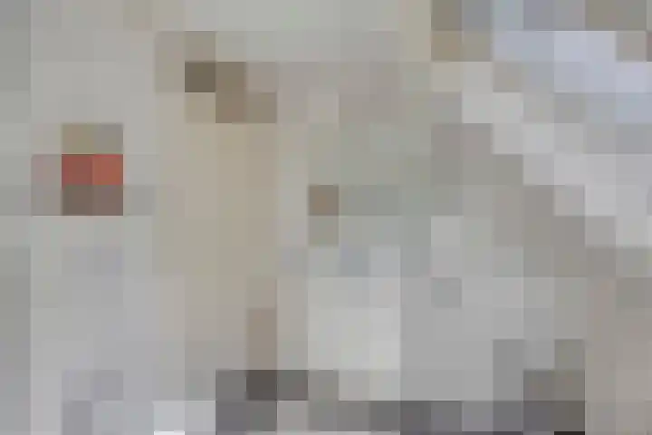 Kloosterbeemd 35 Oisterwijk thumbnail 21