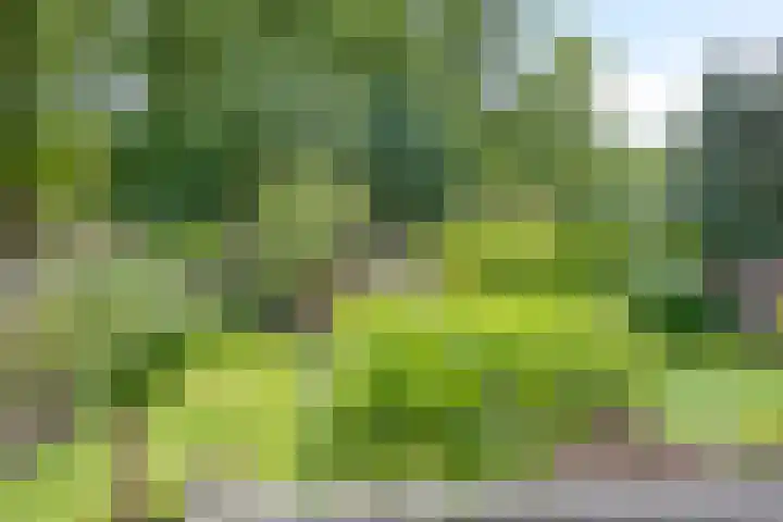 Kloosterbeemd 35 Oisterwijk thumbnail 30