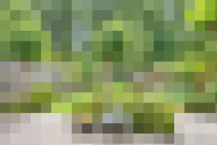 Kloosterbeemd 35 Oisterwijk thumbnail 31