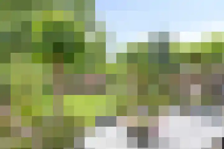 Kloosterbeemd 35 Oisterwijk thumbnail 32
