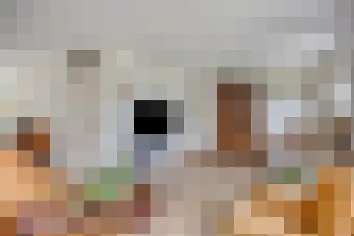 Kloosterbeemd 35 Oisterwijk thumbnail 4