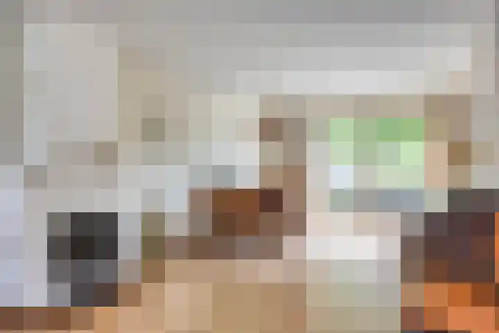 Kloosterbeemd 35 Oisterwijk thumbnail 8