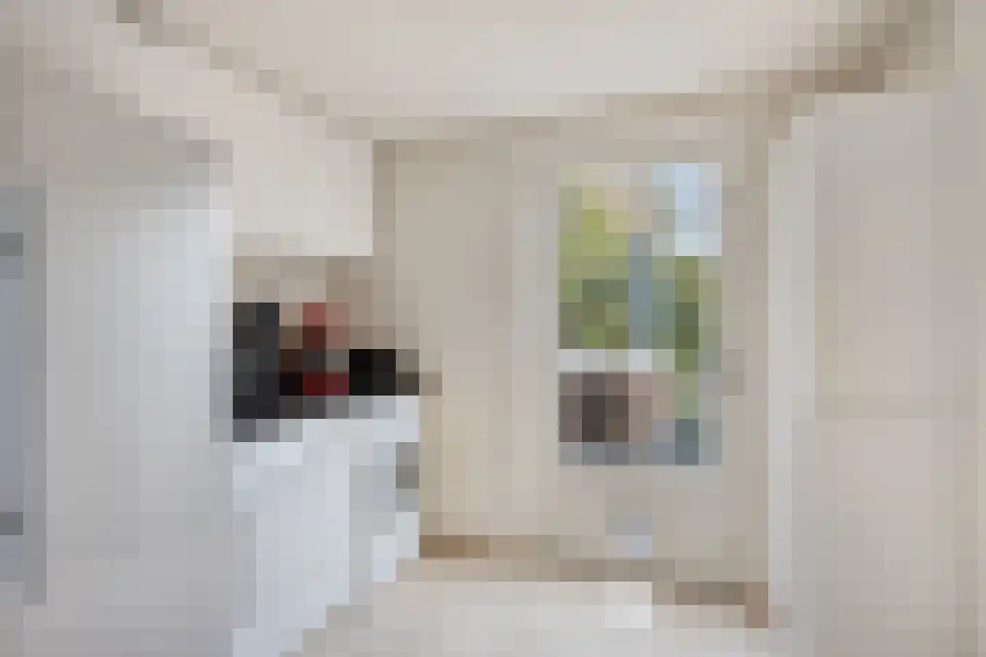 Kloosterbeemd 46 Oisterwijk thumbnail 17