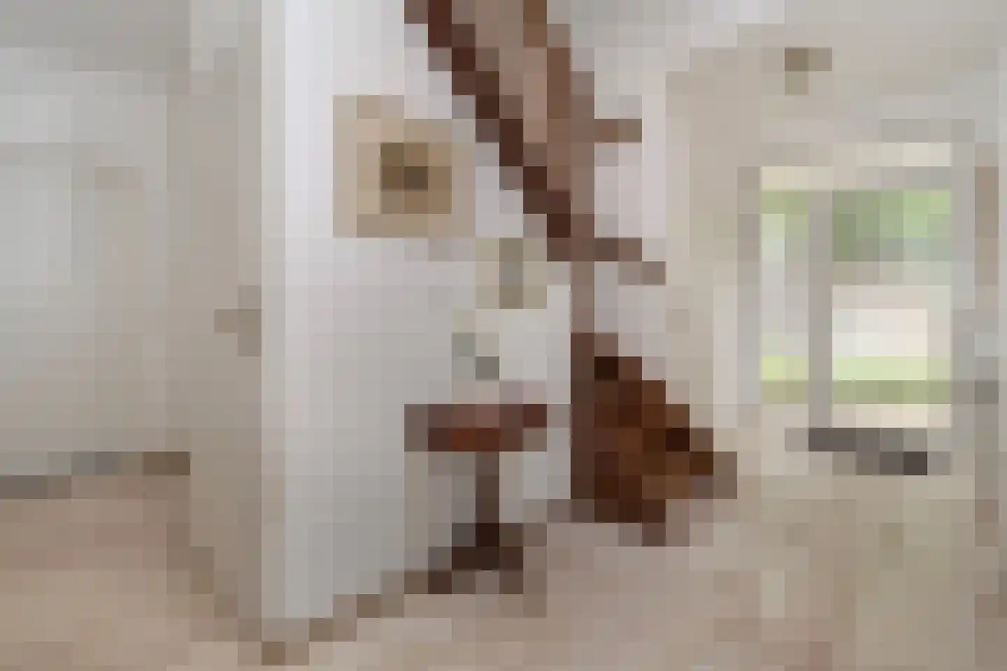 Kloosterberg 2 a Bunde thumbnail 21