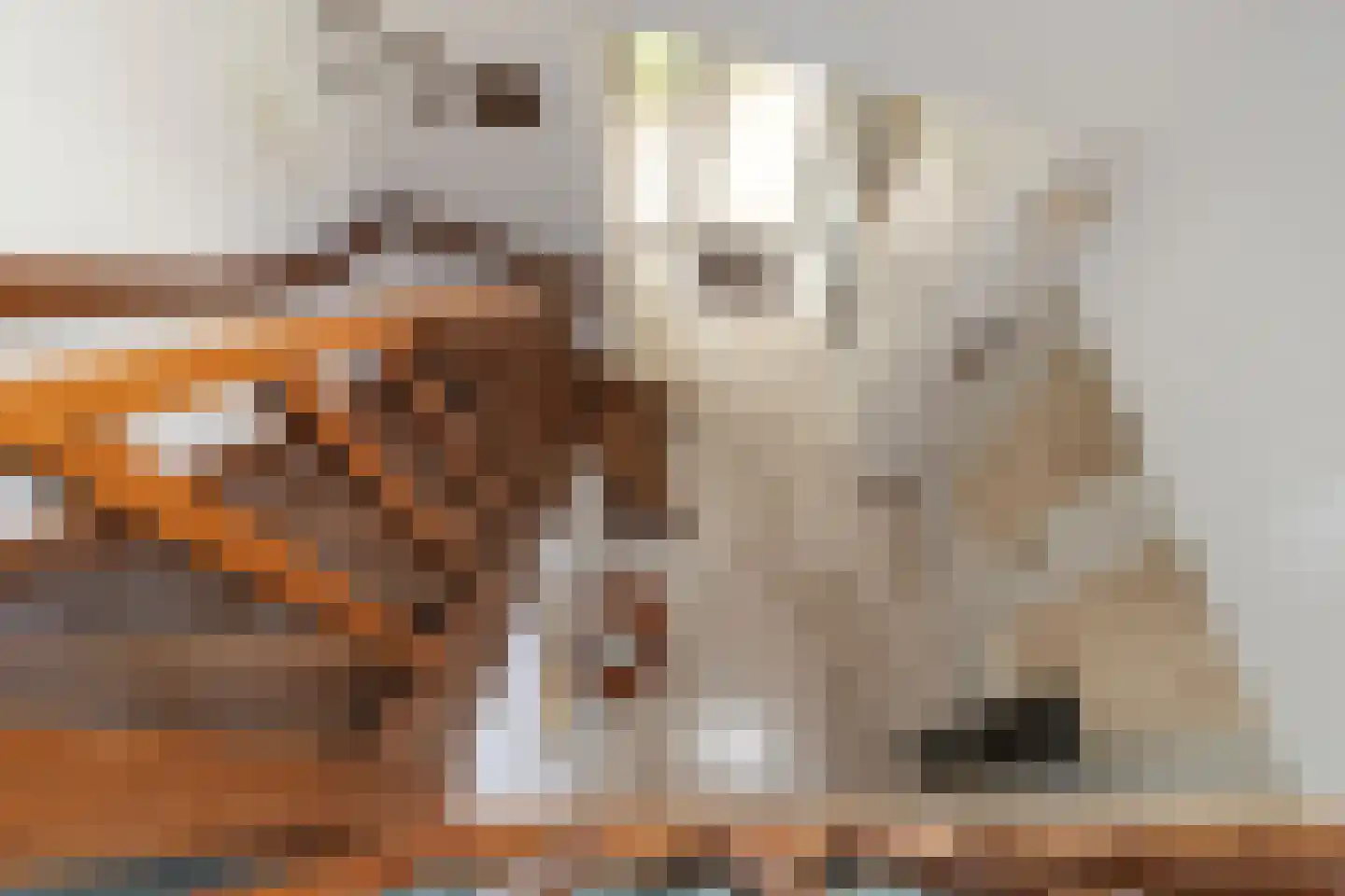 Kloosterberg 2 a Bunde thumbnail 22