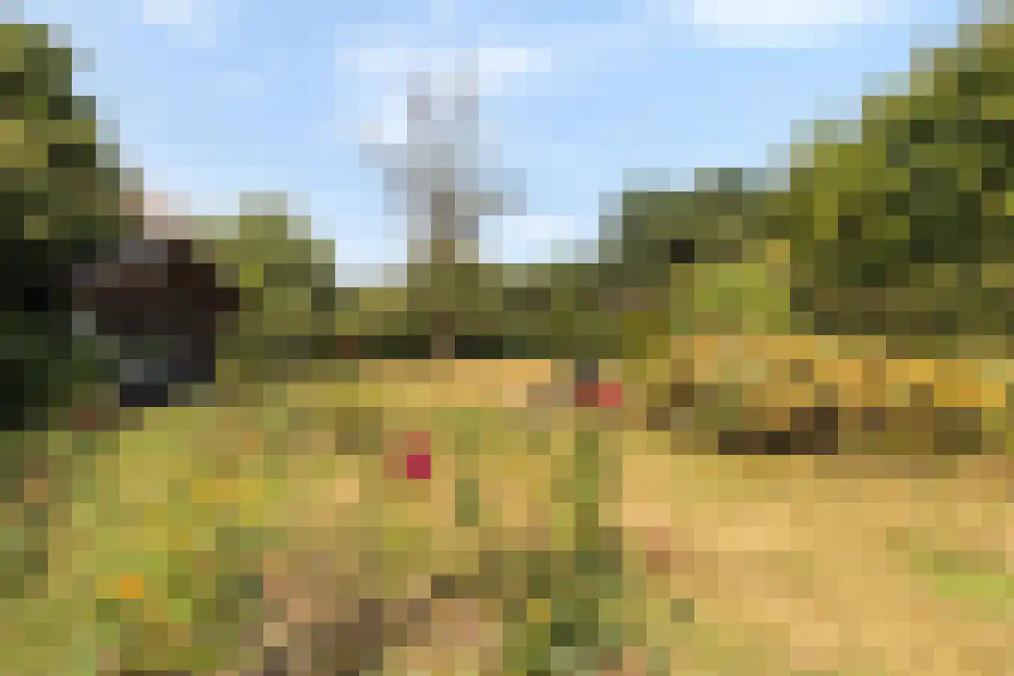 Kloosterberg 2 a Bunde thumbnail 33