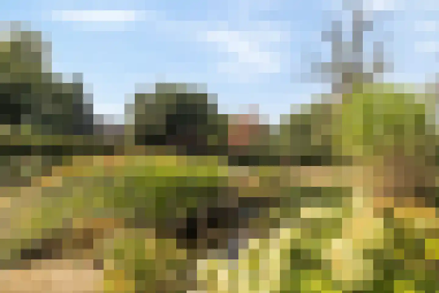 Kloosterberg 2 a Bunde thumbnail 34
