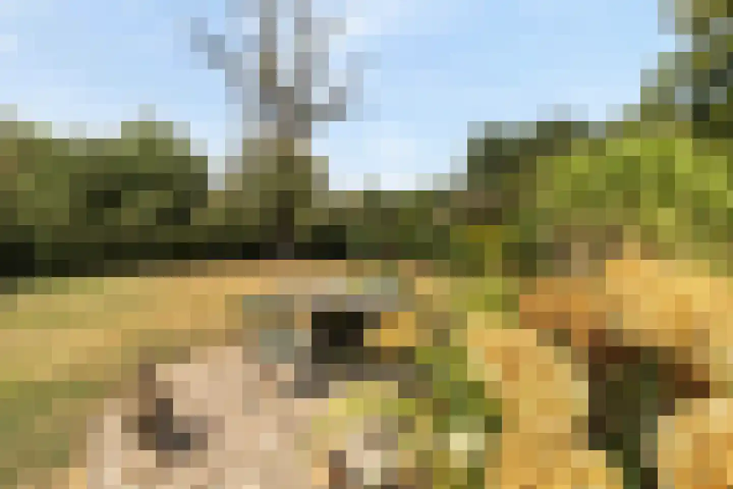 Kloosterberg 2 a Bunde thumbnail 35