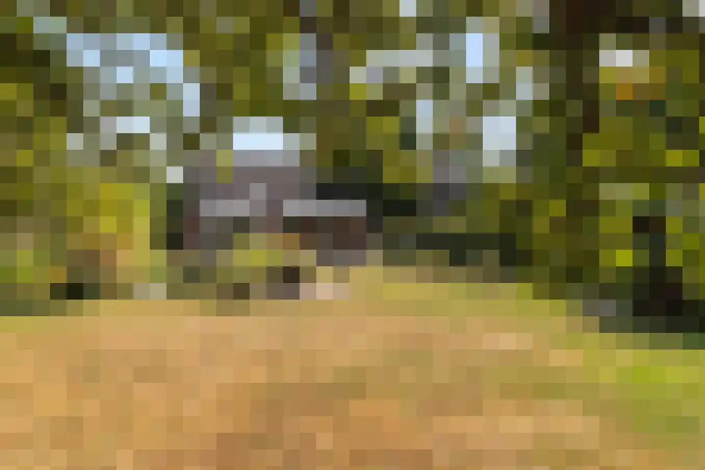 Kloosterberg 2 a Bunde thumbnail 36