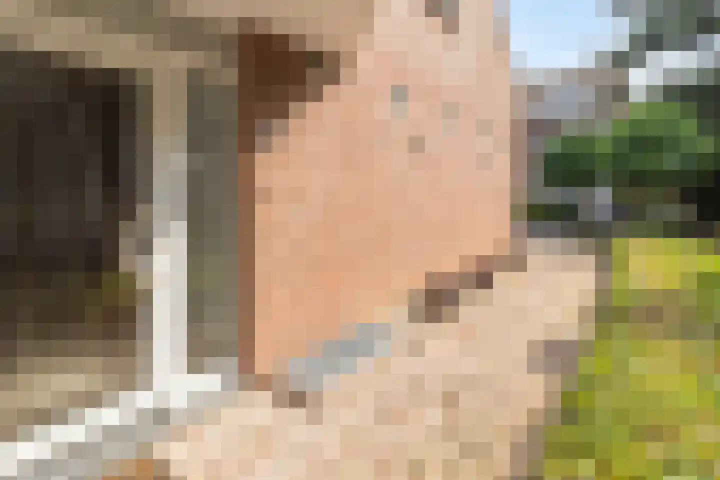 Kloosterberg 2 a Bunde thumbnail 4
