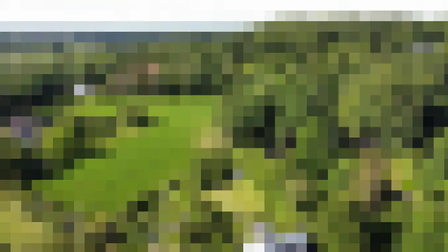 Kloosterberg 2 a Bunde thumbnail 41