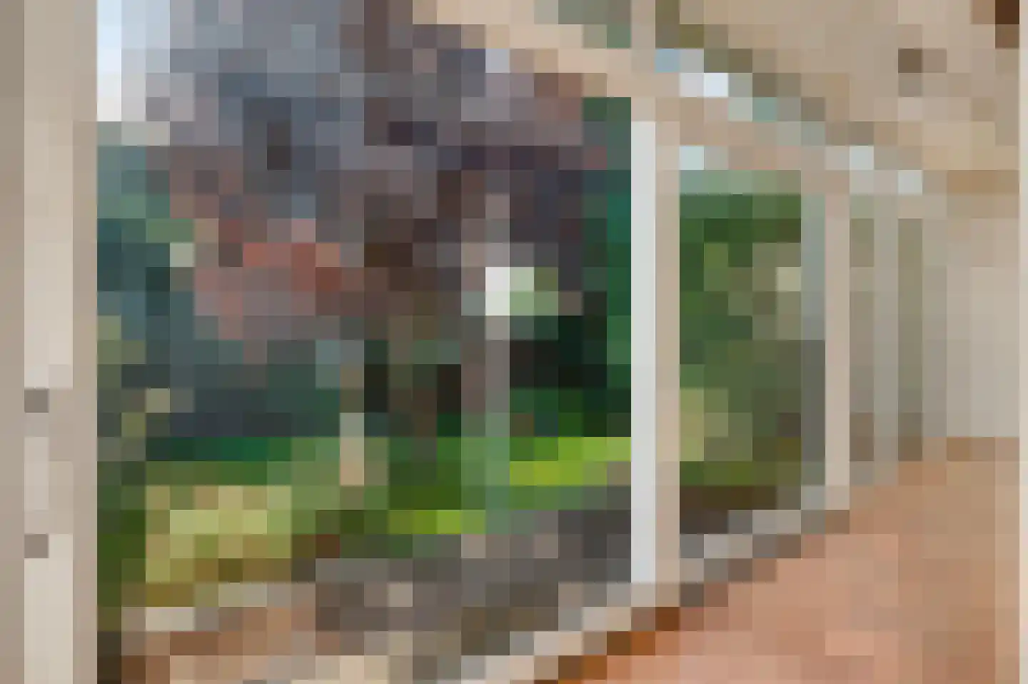 Kloosterberg 5 Bunde thumbnail 10