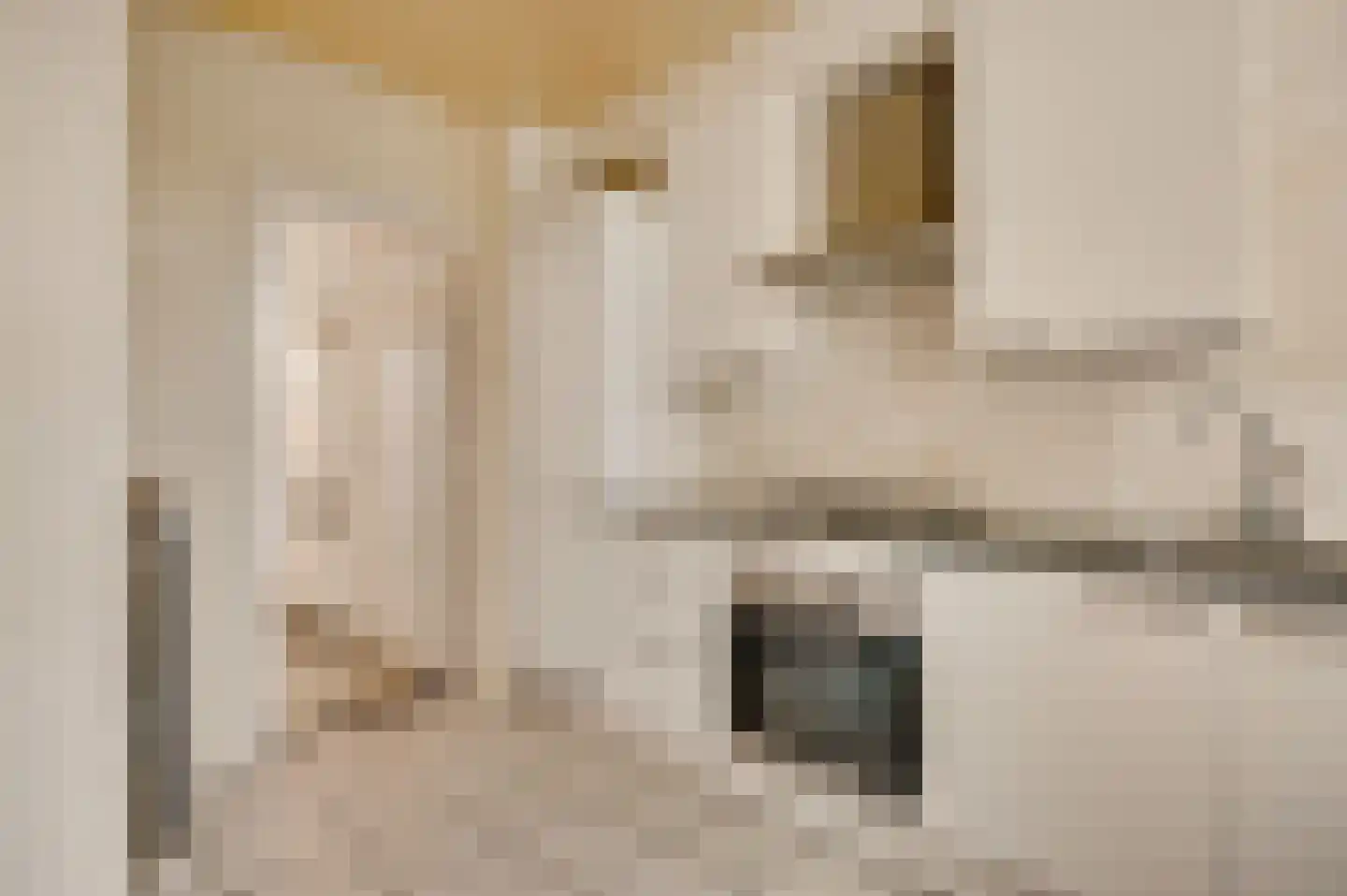 Kloosterberg 5 Bunde thumbnail 11