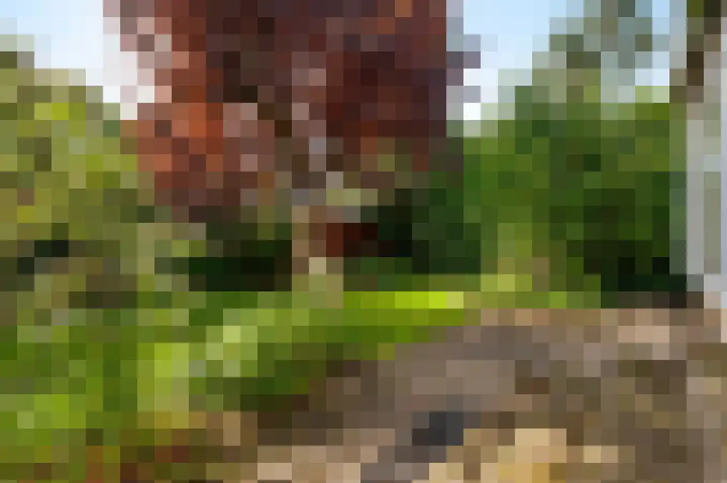 Kloosterberg 5 Bunde thumbnail 19