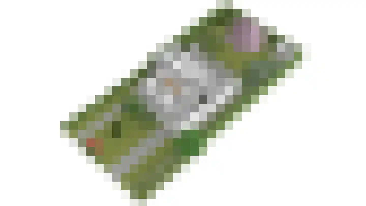 Kloosterberg 5 Bunde thumbnail 23