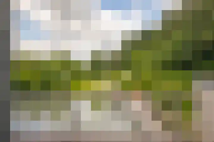 Kloosterberg 6 Bunde thumbnail 16