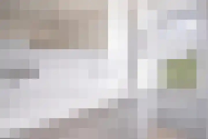 Kloosterberg 6 Bunde thumbnail 19