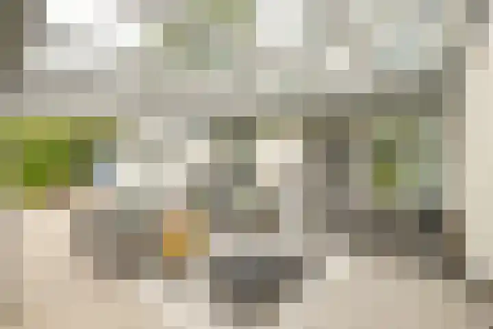 Kloosterberg 6 Bunde thumbnail 27