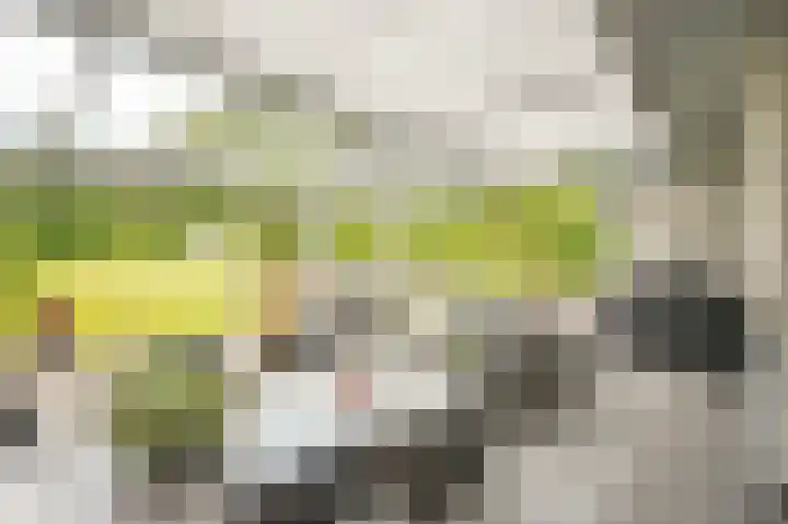 Kloosterberg 6 Bunde thumbnail 28