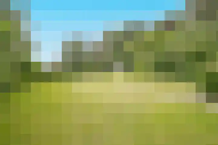 Kloosterberg 6 Bunde thumbnail 30