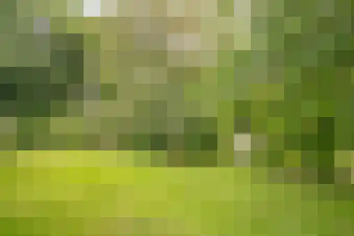 Kloosterberg 6 Bunde thumbnail 32