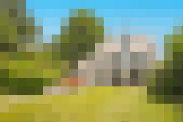 Kloosterberg 6 Bunde thumbnail 33