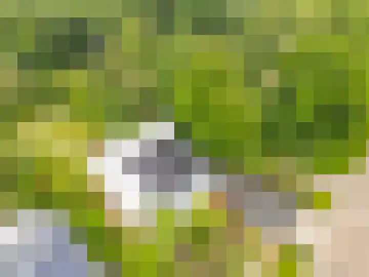 Kloosterberg 6 Bunde thumbnail 35