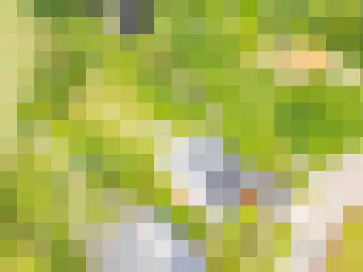 Kloosterberg 6 Bunde thumbnail 36